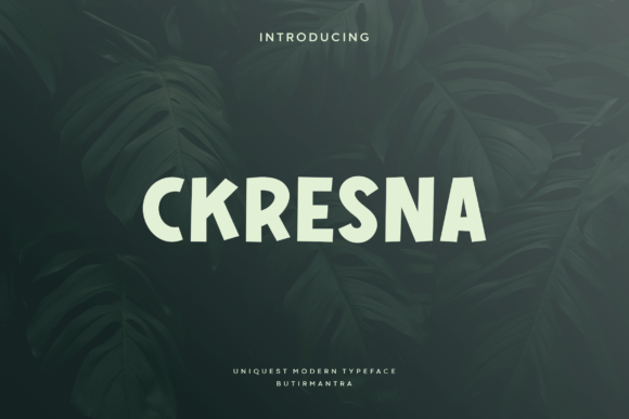 Ckresna: A Display Font That Elevates Modern Web Typography