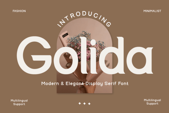Golida: A Designer’s Go-To Display Font for Sophisticated Branding